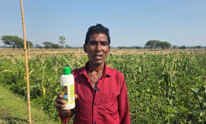 नैनो यूरिया के इस्तेमाल से किसान परशुराम राजवाड़े को खेती में मिला फायदा नैनो-यूरिया-के-इस्तेमाल-से-किसान-परशुराम-राजवाड़े-को-खेती-में-मिला-फायदा
