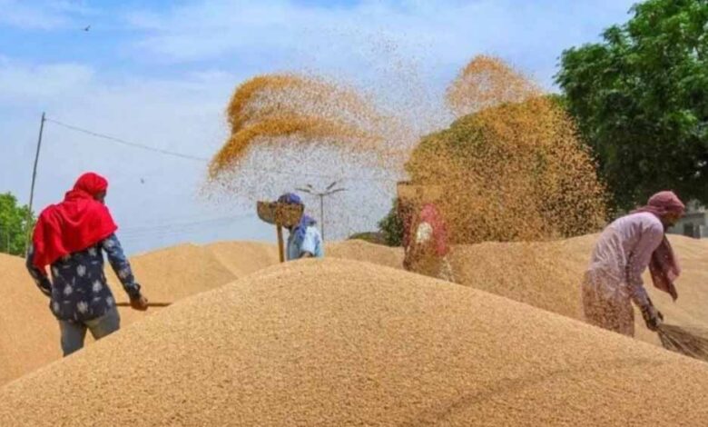 जलवायु परिवर्तन का गेहूं उत्पादन पर खतरा, बढ़ती गर्मी से गुणवत्ता और पैदावार प्रभावित जलवायु-परिवर्तन-का-गेहूं-उत्पादन-पर-खतरा,-बढ़ती-गर्मी-से-गुणवत्ता-और-पैदावार-प्रभावित