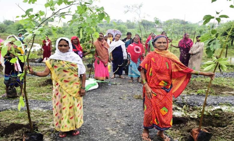 हरित विकास, जल संरक्षण और जनभागीदारी से पर्यावरणीय समृद्धि की ओर बढ़ता छत्तीसगढ़ हरित-विकास,-जल-संरक्षण-और-जनभागीदारी-से-पर्यावरणीय-समृद्धि-की-ओर-बढ़ता-छत्तीसगढ़