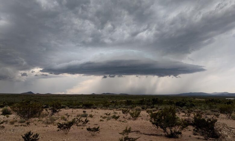 MP Monsoon Update: कब आएगा मानसून? भीषण गर्मी से जूझ रहे जिलों को जल्द राहत, 60 Kmph तूफान का अलर्ट mp-monsoon-update:-कब-आएगा-मानसून?-भीषण-गर्मी-से-जूझ-रहे-जिलों-को-जल्द-राहत,-60-kmph-तूफान-का-अलर्ट