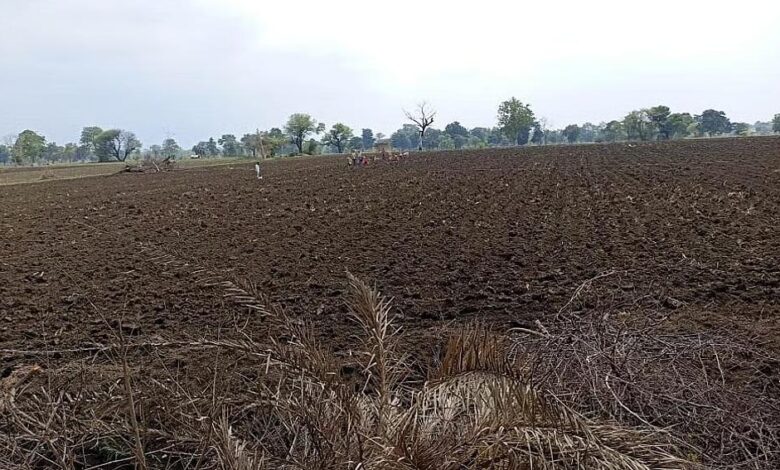 मध्य प्रदेश में कमजोर मानसून की मार, 13 जिलों में पर्याप्त बारिश नहीं; एक्सपर्ट बोले- 4 इंच पानी के बाद ही करें बोवनी मध्य-प्रदेश-में-कमजोर-मानसून-की-मार,-13-जिलों-में-पर्याप्त-बारिश-नहीं;-एक्सपर्ट-बोले-4-इंच-पानी-के-बाद-ही-करें-बोवनी