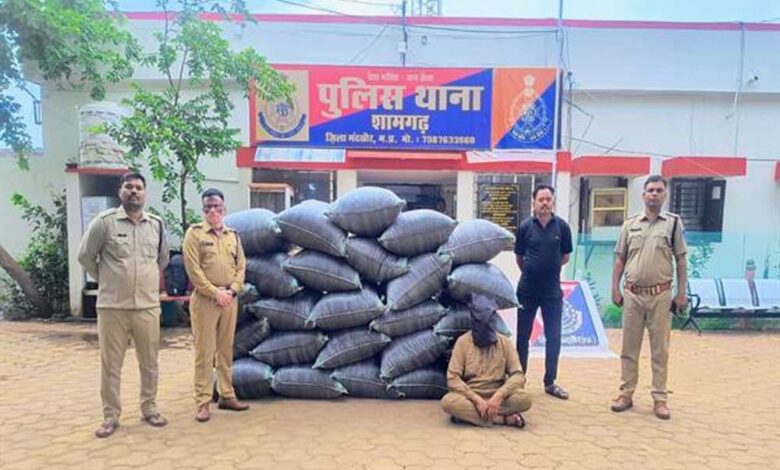विगत 10 दिनों में 2 करोड़ 90 लाख रूपए से अधिक मूल्य के मादक पदार्थ एवं अन्य संपत्ति जब्त विगत-10-दिनों-में-2-करोड़-90-लाख-रूपए-से-अधिक-मूल्य-के-मादक-पदार्थ-एवं-अन्य-संपत्ति-जब्त