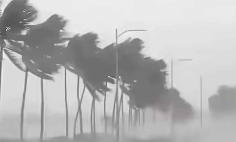 IMD का अलर्ट: 17 राज्यों में आंधी-बारिश का खतरा, 70 किमी/घंटा तक चलेंगी तेज हवाएं imd-का-अलर्ट:-17-राज्यों-में-आंधी-बारिश-का-खतरा,-70-किमी/घंटा-तक-चलेंगी-तेज-हवाएं